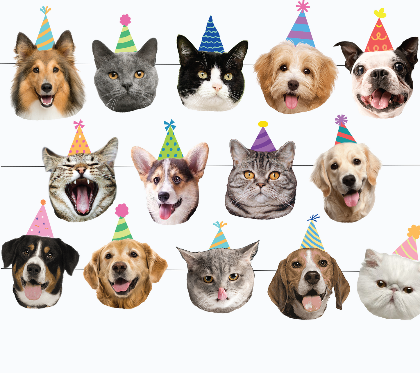 Dog/Cat Party Bundle