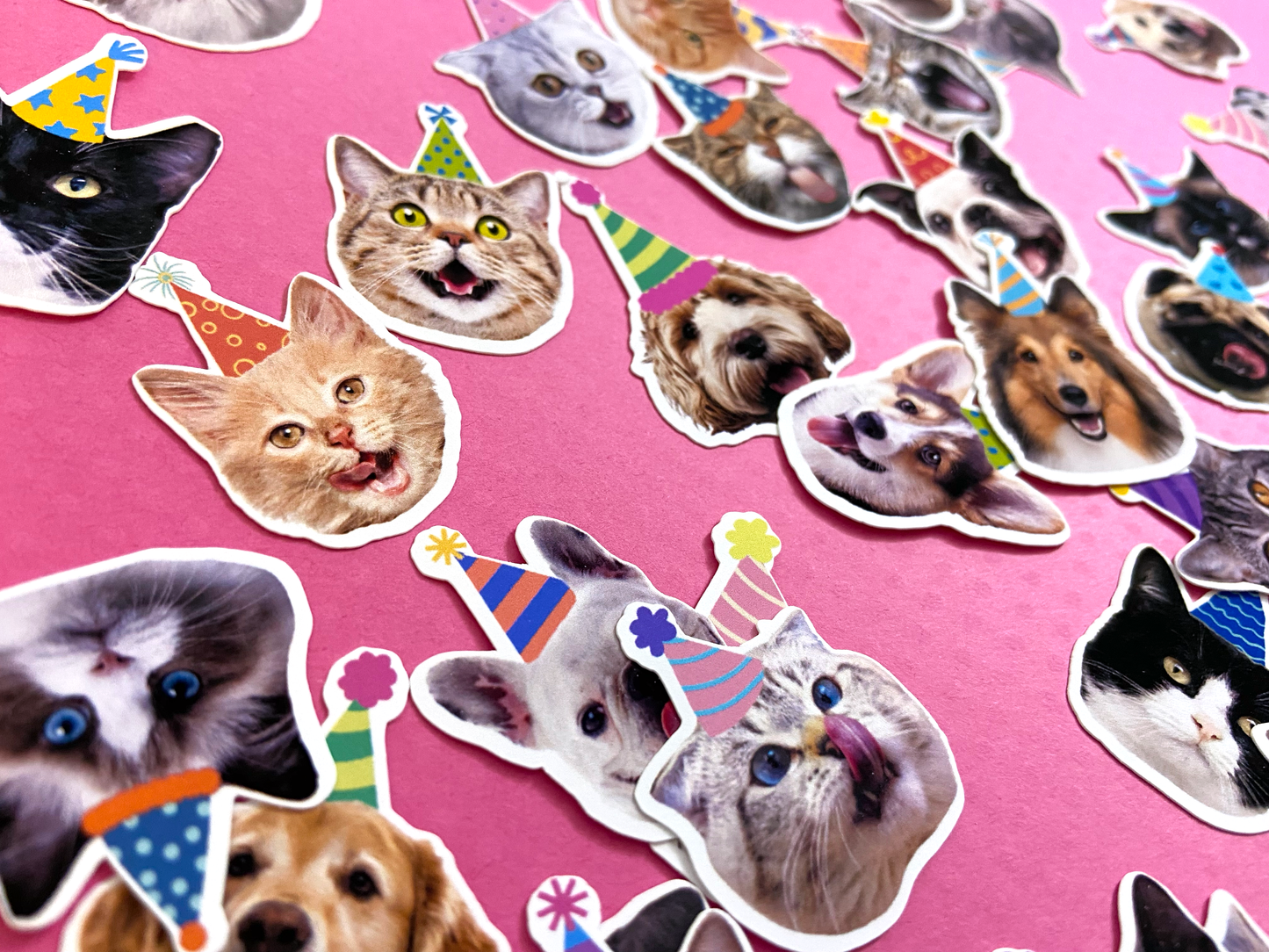 Dog/Cat Party Bundle