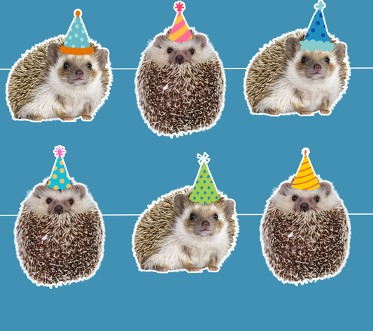 Hedgehog Birthday Banner