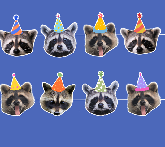 Raccoon Birthday Banner
