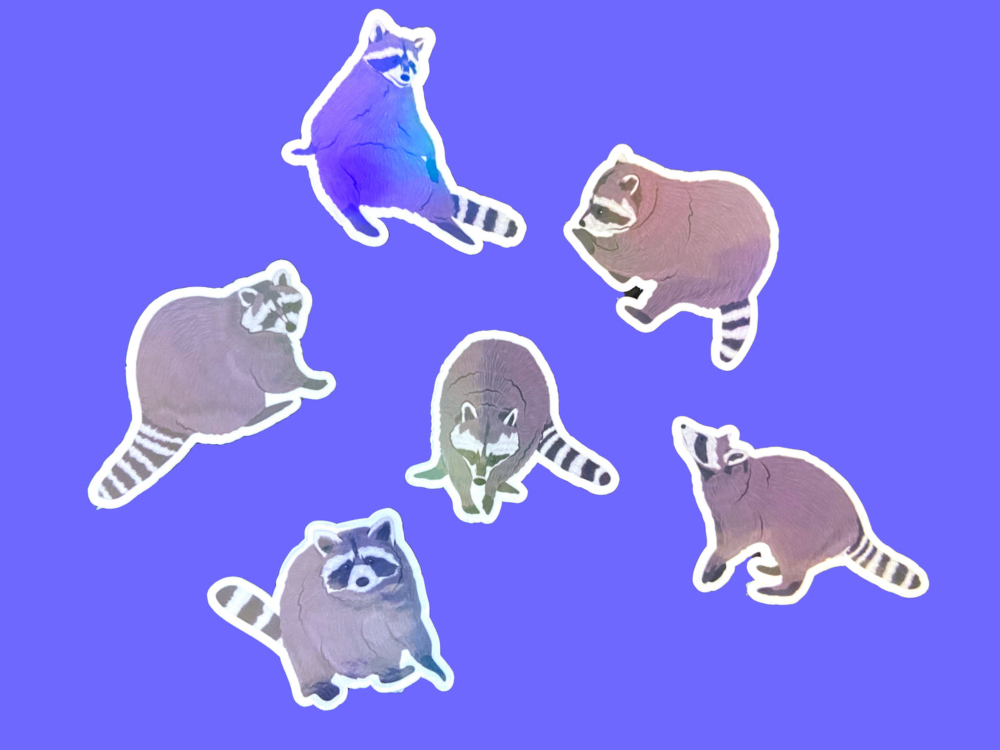 Mini Raccoon Stickers