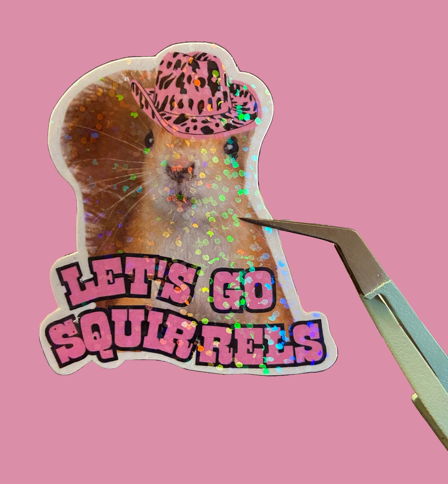 Lets Go Squirrels Sticker